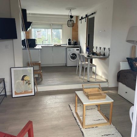 Studio A 15 Mn De Toulouse A Castelginest Esterno foto
