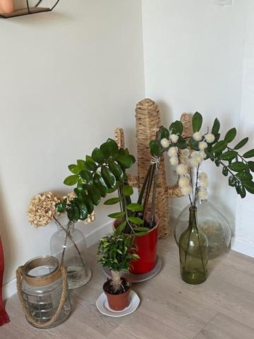 Studio A 15 Mn De Toulouse A Castelginest Esterno foto